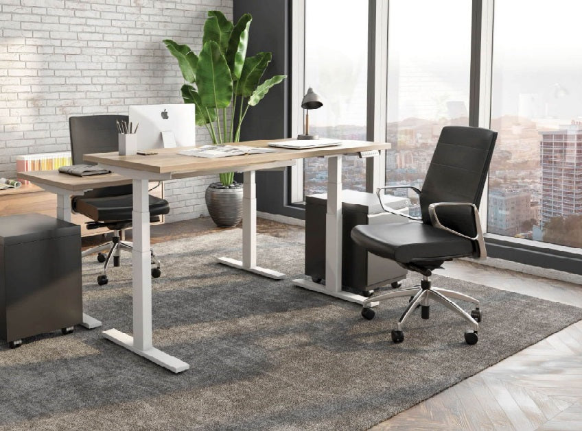 Titan Height Adjustable Desk